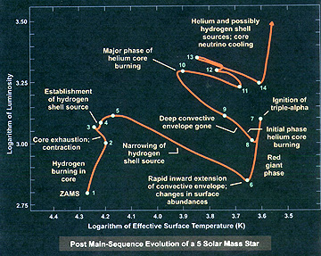 The convoluted path of evolution of a Main Sequence star of 5 solar masses to a Red Giant stage.
